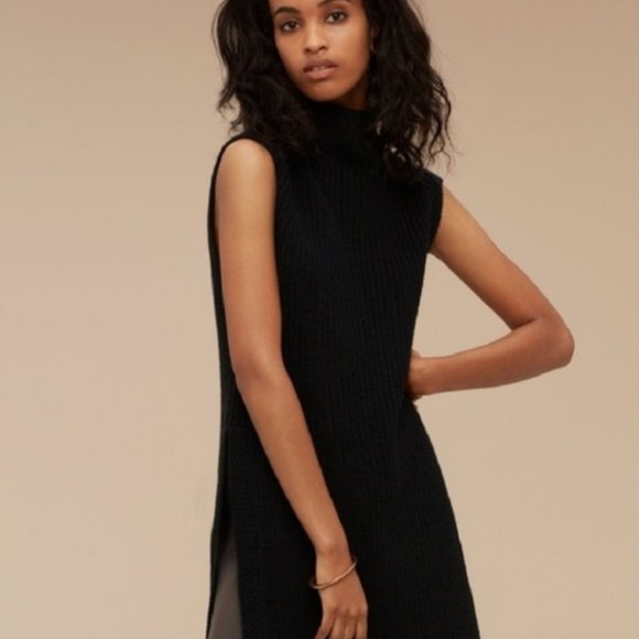 Aritzia Sweaters - Wilfred Durandal Sleeveless Turtleneck